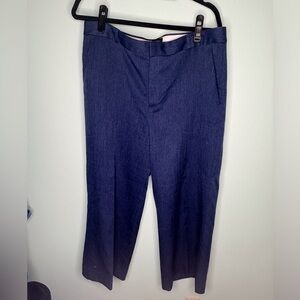 Banana Republic Blake Crop Pants Blue – Size 14